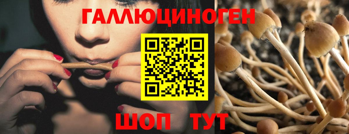 Псилоцибиновые грибы мухоморы  Вход с VPN  Галлюциногенные грибы Psilocybe  Карталы 